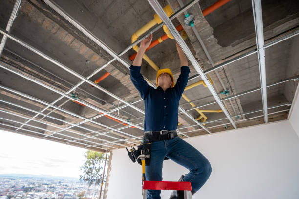 Best Affordable Plumbing Services  in Vandercook Lake, MI