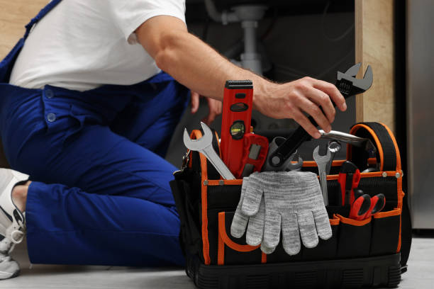 Best Emergency Plumber  in Vandercook Lake, MI