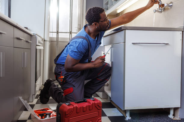  Vandercook Lake, MI Plumbing Pros