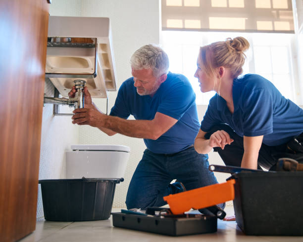Best Local Plumber Services  in Vandercook Lake, MI